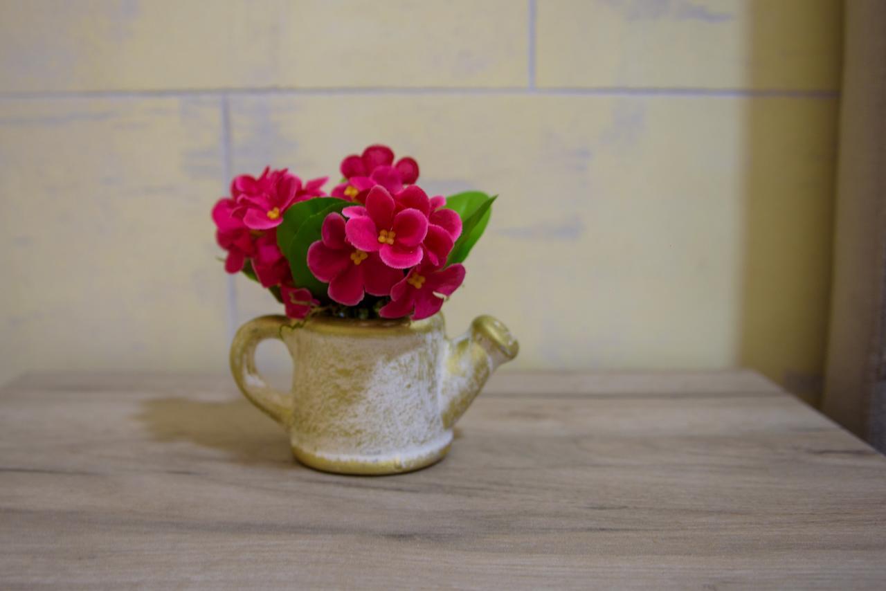Apartman Dijana Kotor Extérieur photo